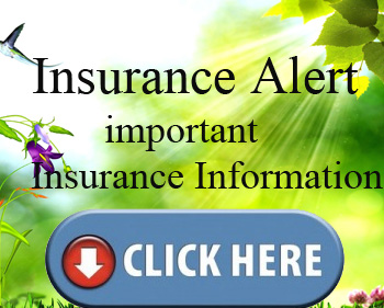 All About Lori J Isenstadt insurance information